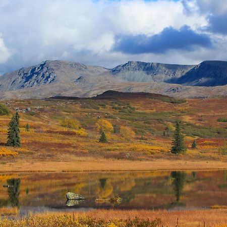Caribou Lodge Alaska Talkeetna Dış mekan fotoğraf