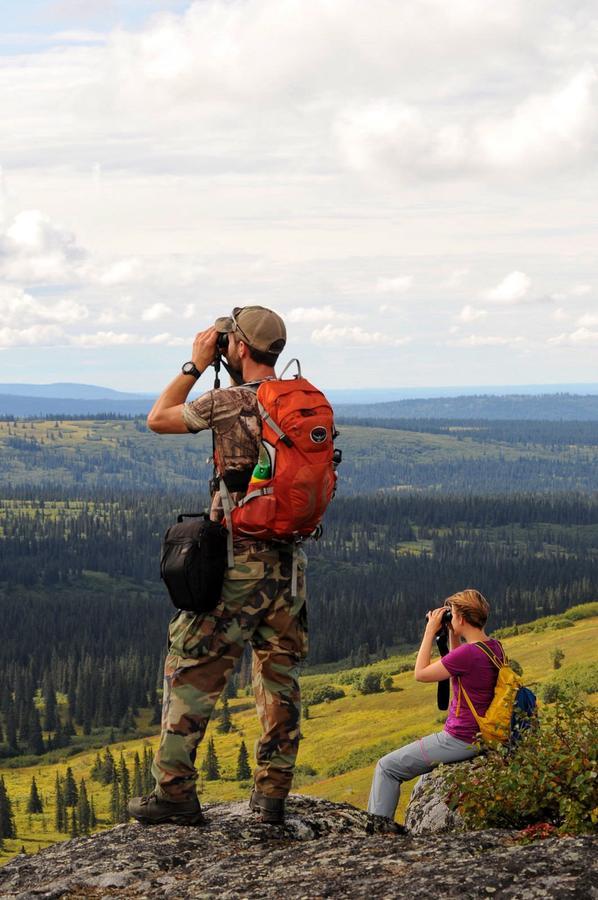 Caribou Lodge Alaska Talkeetna Dış mekan fotoğraf