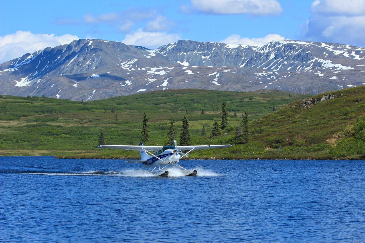 Caribou Lodge Alaska Talkeetna Dış mekan fotoğraf