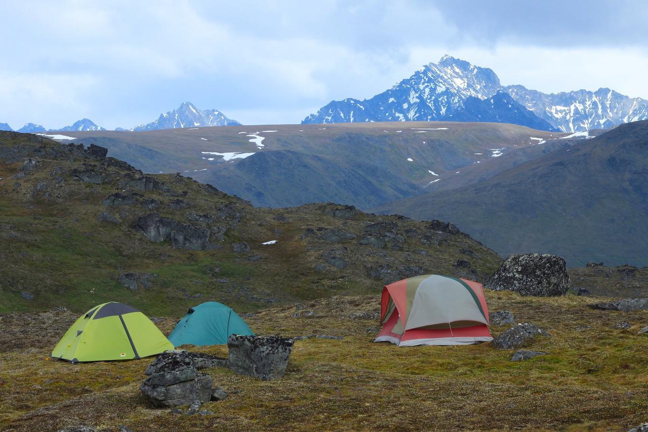 Caribou Lodge Alaska Talkeetna Dış mekan fotoğraf