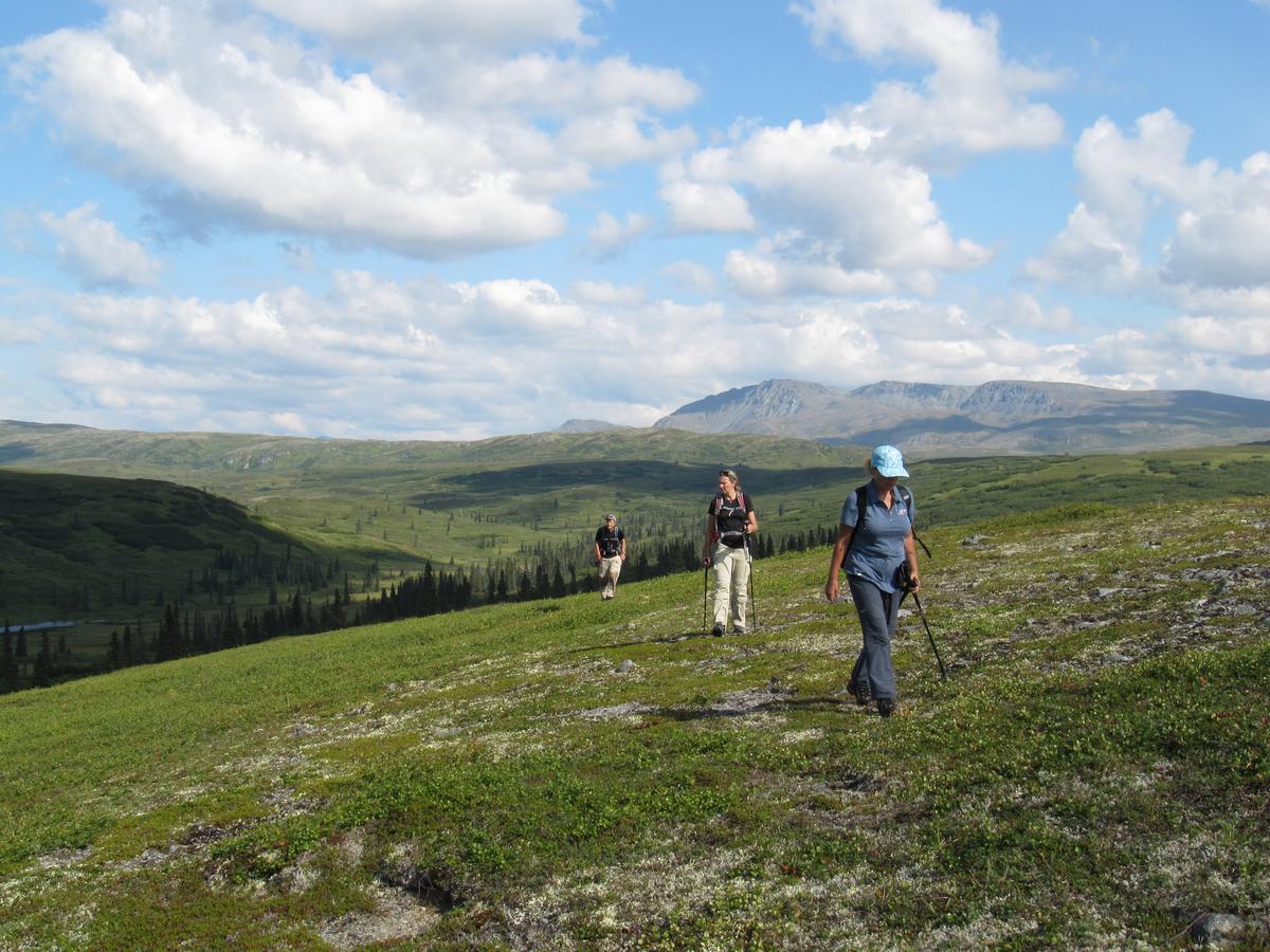 Caribou Lodge Alaska Talkeetna Dış mekan fotoğraf