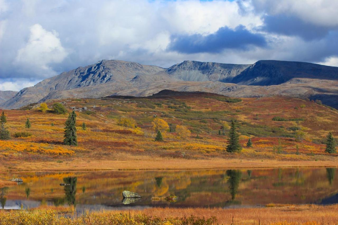 Caribou Lodge Alaska Talkeetna Dış mekan fotoğraf