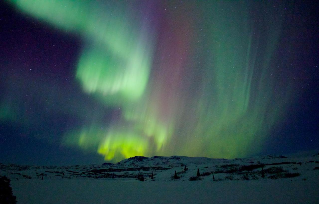 Caribou Lodge Alaska Talkeetna Dış mekan fotoğraf