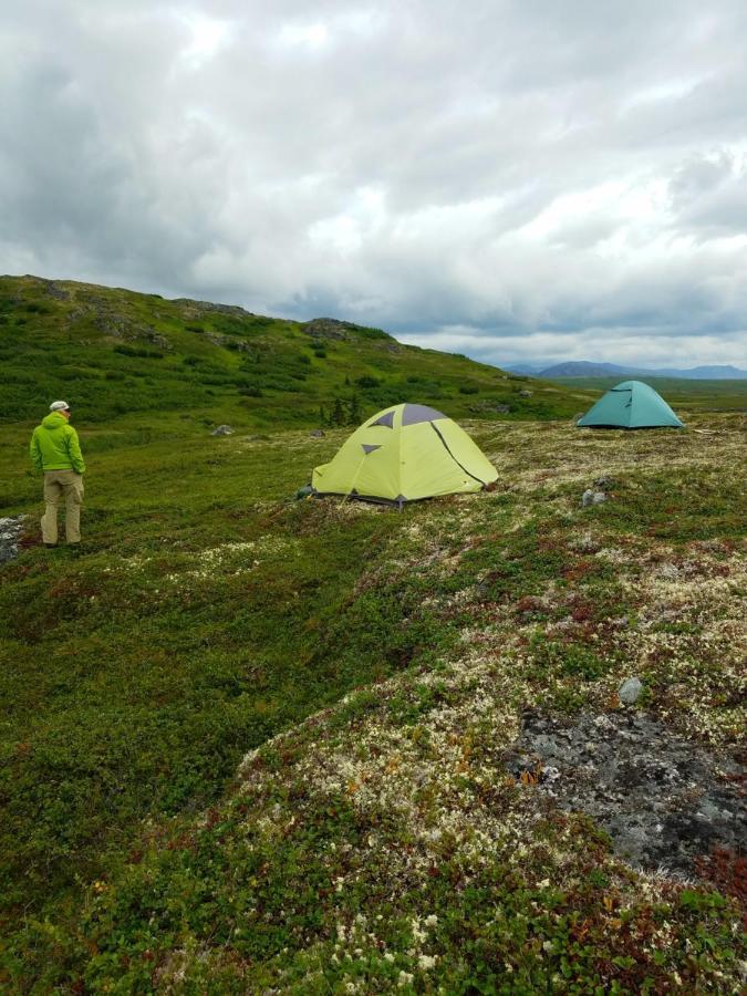 Caribou Lodge Alaska Talkeetna Dış mekan fotoğraf