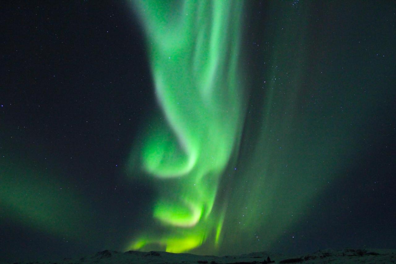 Caribou Lodge Alaska Talkeetna Dış mekan fotoğraf