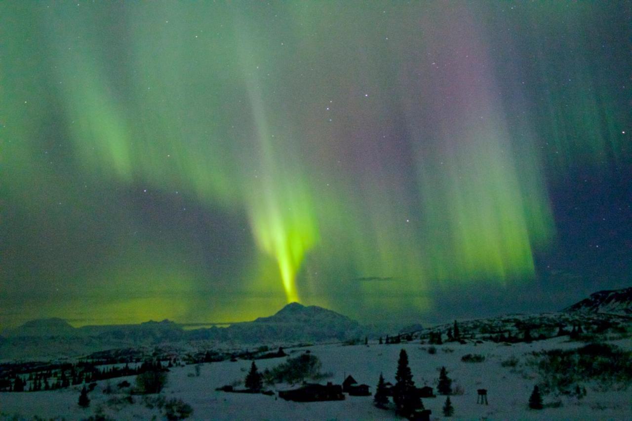 Caribou Lodge Alaska Talkeetna Dış mekan fotoğraf