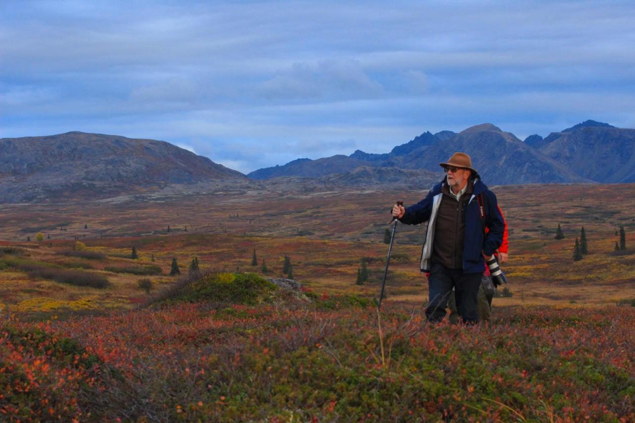 Caribou Lodge Alaska Talkeetna Dış mekan fotoğraf