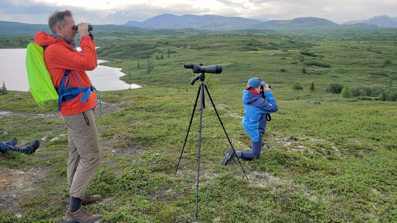 Caribou Lodge Alaska Talkeetna Dış mekan fotoğraf