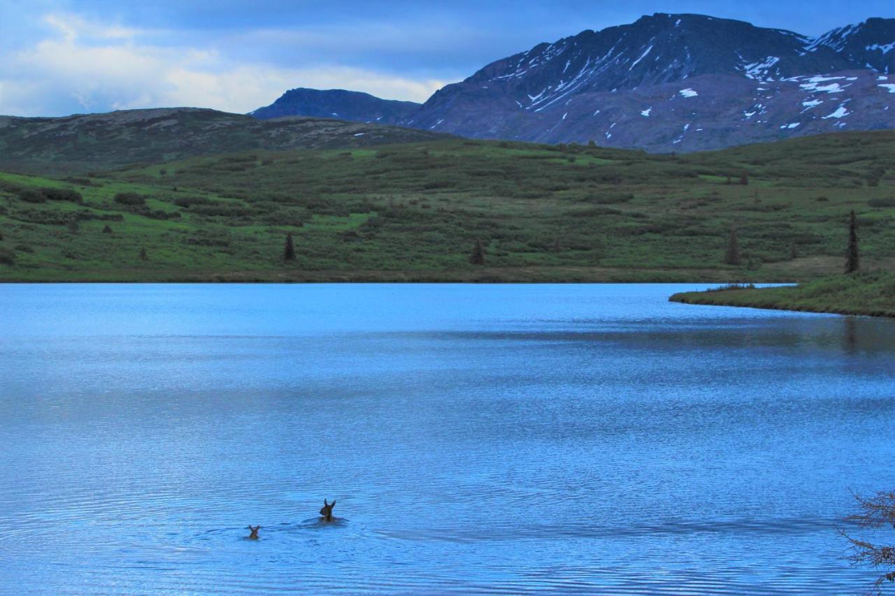 Caribou Lodge Alaska Talkeetna Dış mekan fotoğraf
