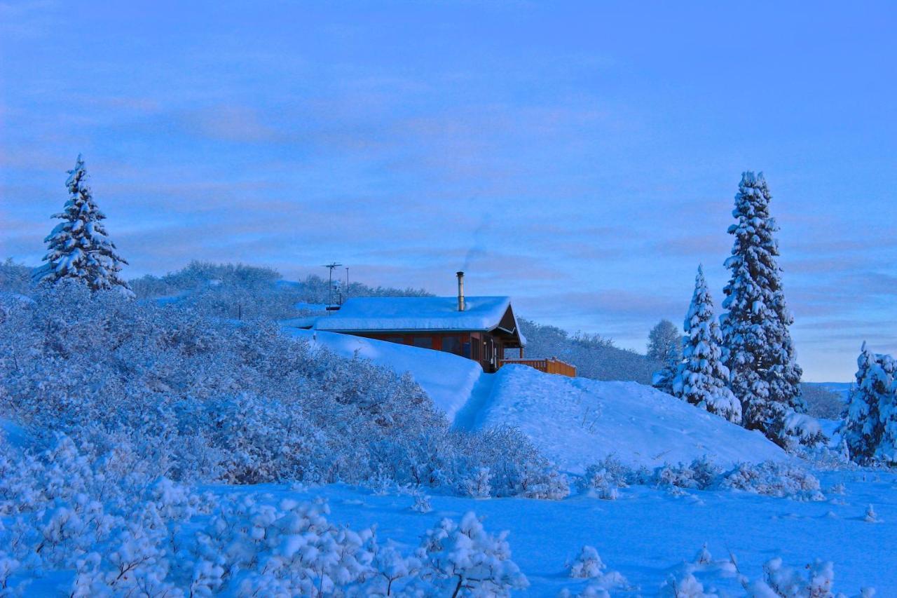 Caribou Lodge Alaska Talkeetna Dış mekan fotoğraf